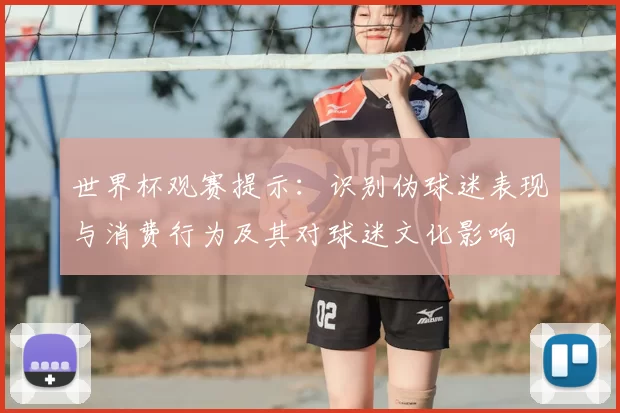世界杯观赛提示：识别伪球迷表现与消费行为及其对球迷文化影响