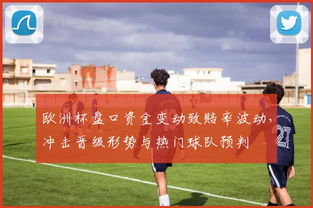 欧洲杯盘口资金变动致赔率波动,冲击晋级形势与热门球队预判