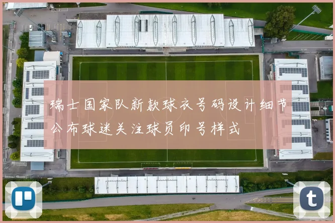 瑞士国家队新款球衣号码设计细节公布球迷关注球员印号样式